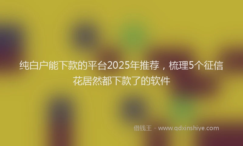纯白户能下款的平台2025年推荐，梳理5个征信花居然都下款了的软件