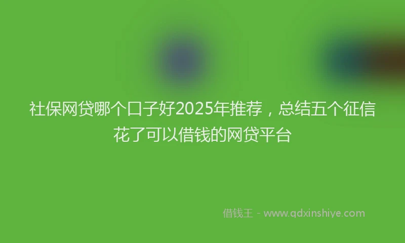 社保网贷哪个口子好2025年推荐，总结五个征信花了可以借钱的网贷平台