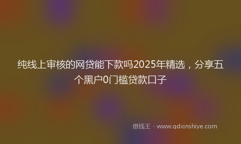 纯线上审核的网贷能下款吗2025年精选，分享五个黑户0门槛贷款口子
