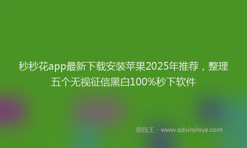 秒秒花app最新下载安装苹果2025年推荐，整理五个无视征信黑白100%秒下软件