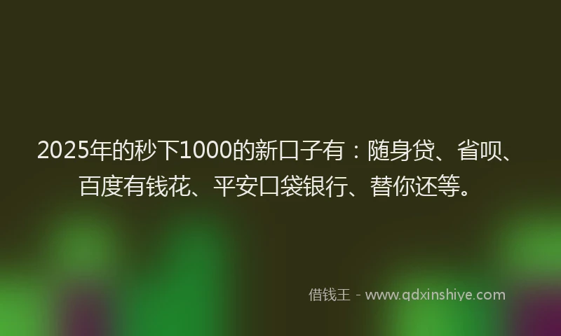 2025年的秒下1000的新口子有：随身贷、省呗、百度有钱花、平安口袋银行、替你还等。