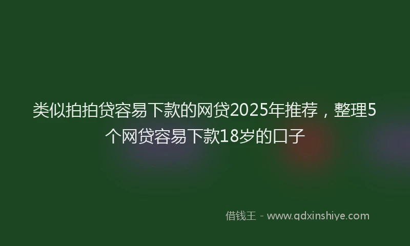 类似拍拍贷容易下款的网贷2025年推荐，整理5个网贷容易下款18岁的口子