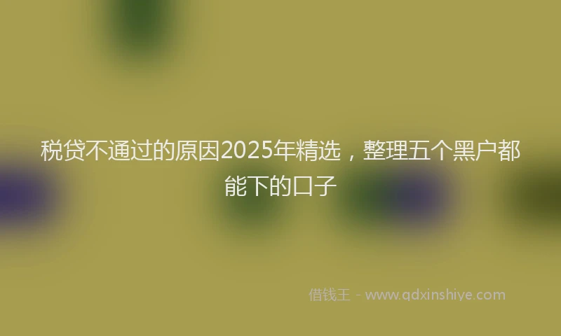 税贷不通过的原因2025年精选，整理五个黑户都能下的口子