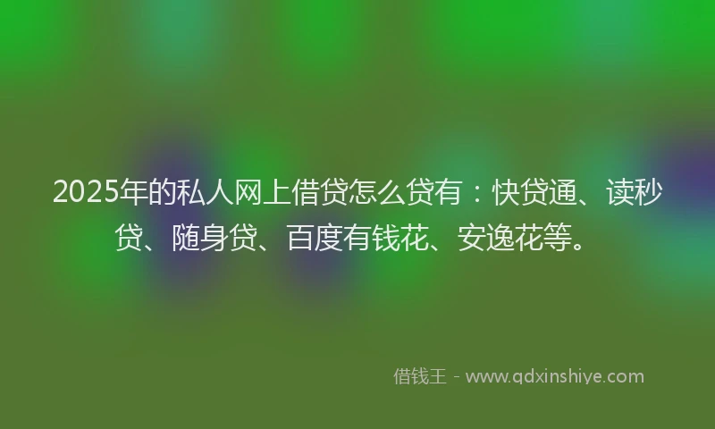 2025年的私人网上借贷怎么贷有：快贷通、读秒贷、随身贷、百度有钱花、安逸花等。