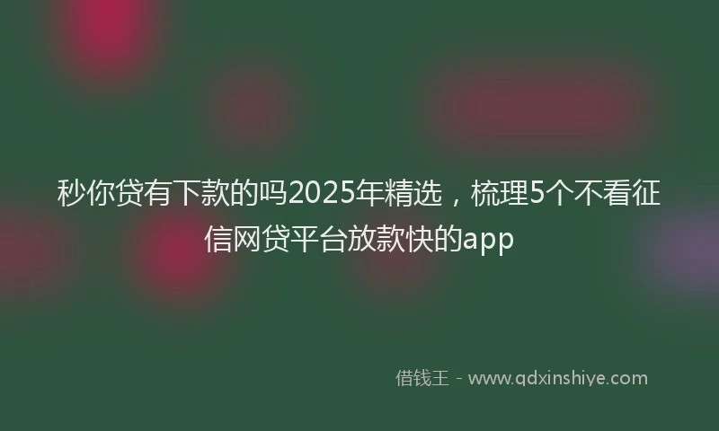 秒你贷有下款的吗2025年精选，梳理5个不看征信网贷平台放款快的app