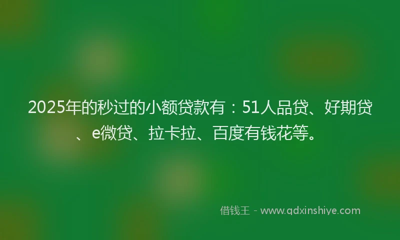2025年的秒过的小额贷款有：51人品贷、好期贷、e微贷、拉卡拉、百度有钱花等。