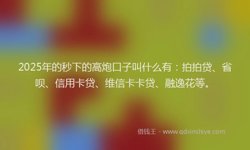 2025年的秒下的高炮口子叫什么有：拍拍贷、省呗、信用卡贷、维信卡卡贷、融逸花等。