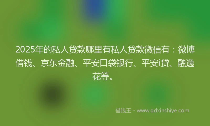 2025年的私人贷款哪里有私人贷款微信有：微博借钱、京东金融、平安口袋银行、平安i贷、融逸花等。