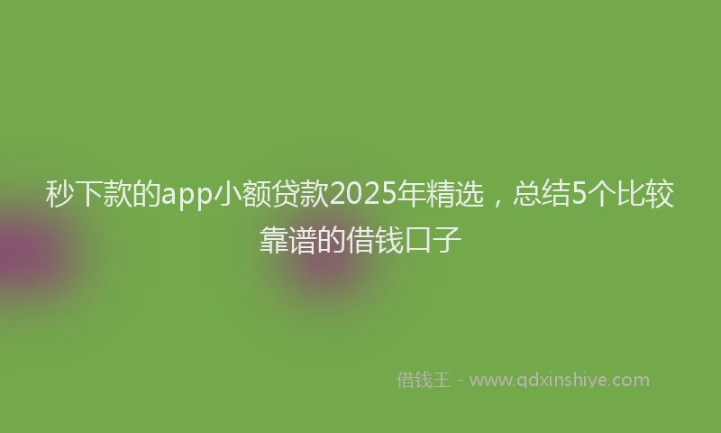 秒下款的app小额贷款2025年精选，总结5个比较靠谱的借钱口子
