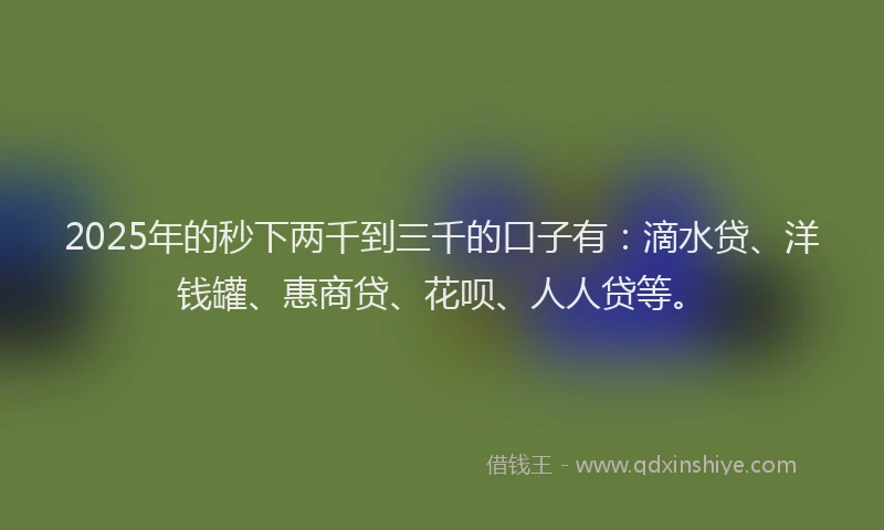 2025年的秒下两千到三千的口子有：滴水贷、洋钱罐、惠商贷、花呗、人人贷等。