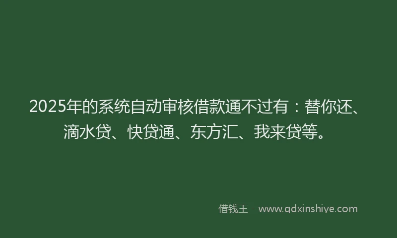 2025年的系统自动审核借款通不过有：替你还、滴水贷、快贷通、东方汇、我来贷等。