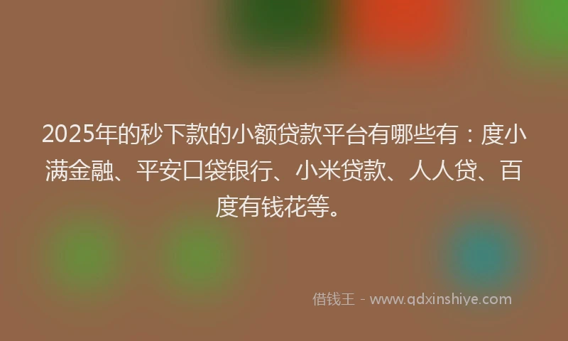 2025年的秒下款的小额贷款平台有哪些有：度小满金融、平安口袋银行、小米贷款、人人贷、百度有钱花等。