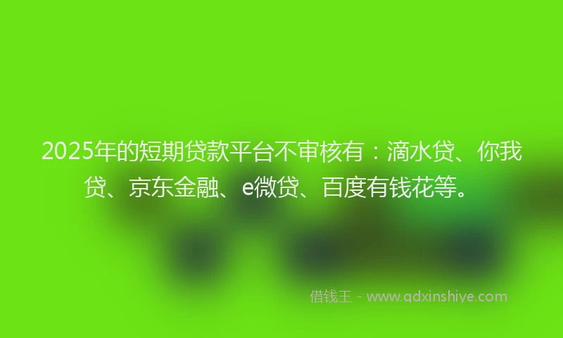 2025年的短期贷款平台不审核有：滴水贷、你我贷、京东金融、e微贷、百度有钱花等。