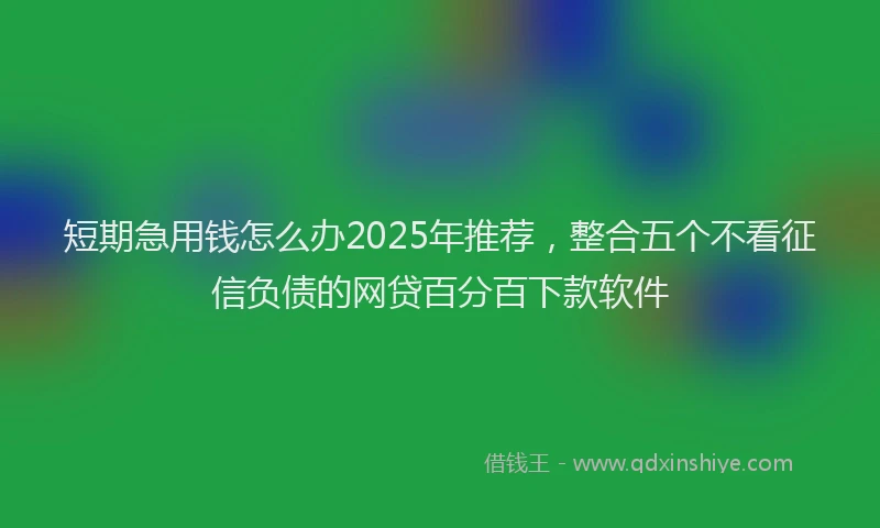 短期急用钱怎么办2025年推荐，整合五个不看征信负债的网贷百分百下款软件