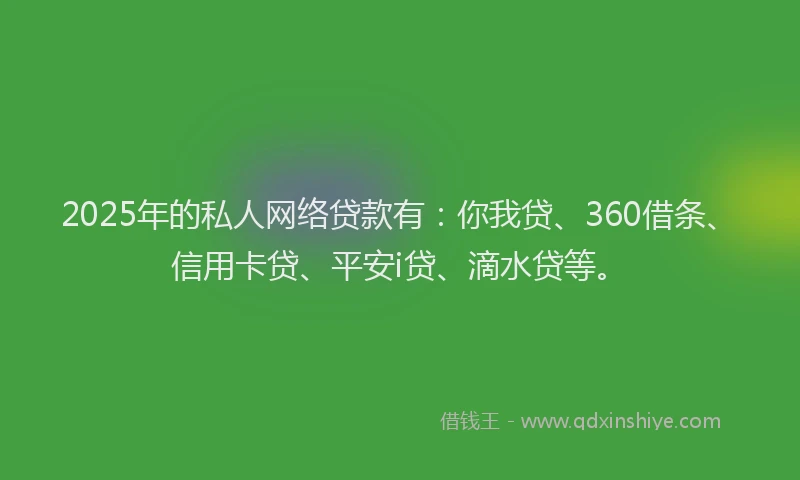 2025年的私人网络贷款有：你我贷、360借条、信用卡贷、平安i贷、滴水贷等。