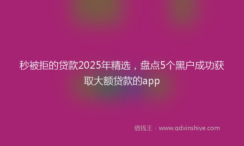 秒被拒的贷款2025年精选，盘点5个黑户成功获取大额贷款的app