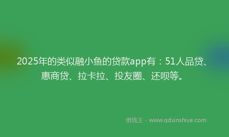 2025年的类似融小鱼的贷款app有：51人品贷、惠商贷、拉卡拉、投友圈、还呗等。