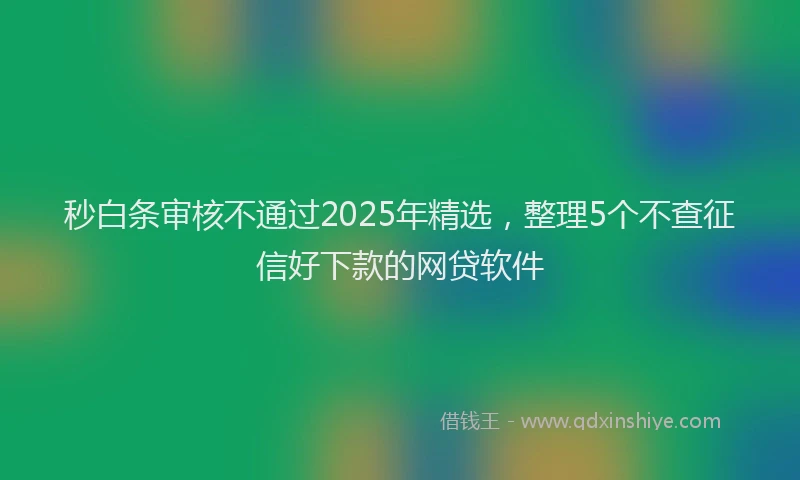 秒白条审核不通过2025年精选，整理5个不查征信好下款的网贷软件