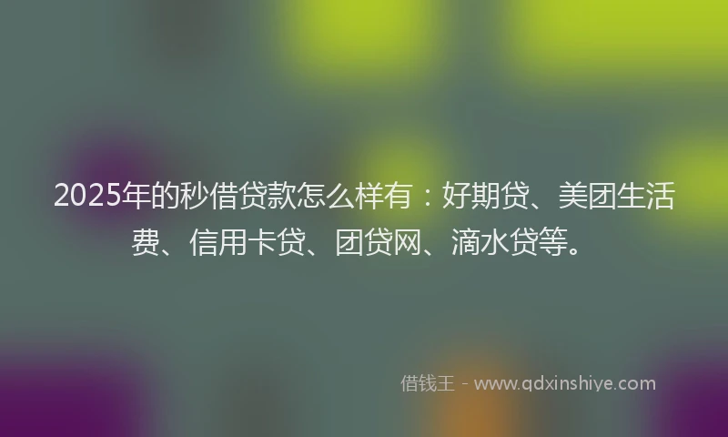 2025年的秒借贷款怎么样有：好期贷、美团生活费、信用卡贷、团贷网、滴水贷等。