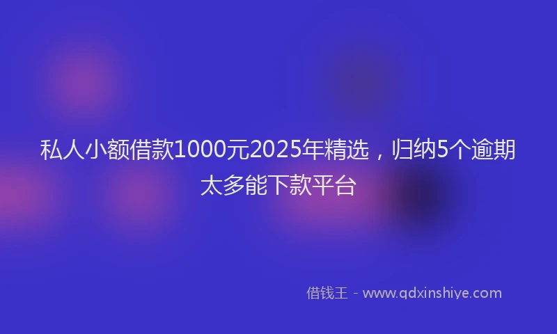 私人小额借款1000元2025年精选，归纳5个逾期太多能下款平台