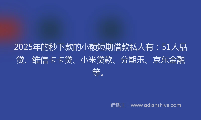 2025年的秒下款的小额短期借款私人有：51人品贷、维信卡卡贷、小米贷款、分期乐、京东金融等。