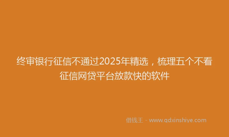 终审银行征信不通过2025年精选，梳理五个不看征信网贷平台放款快的软件