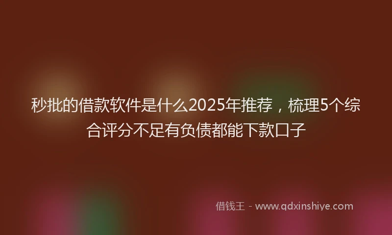 秒批的借款软件是什么2025年推荐，梳理5个综合评分不足有负债都能下款口子