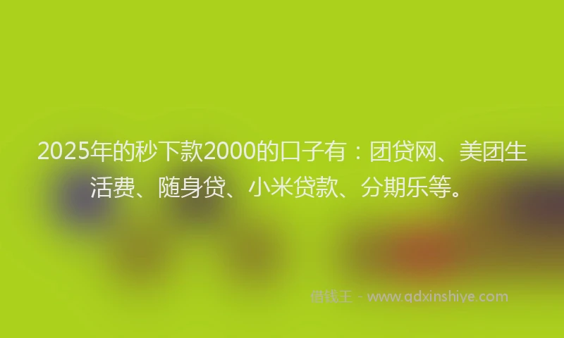 2025年的秒下款2000的口子有：团贷网、美团生活费、随身贷、小米贷款、分期乐等。