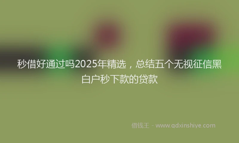 秒借好通过吗2025年精选，总结五个无视征信黑白户秒下款的贷款
