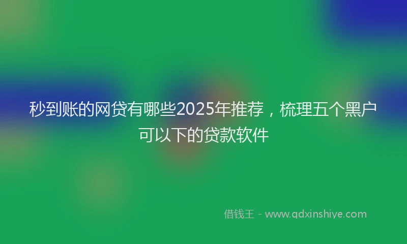 秒到账的网贷有哪些2025年推荐，梳理五个黑户可以下的贷款软件