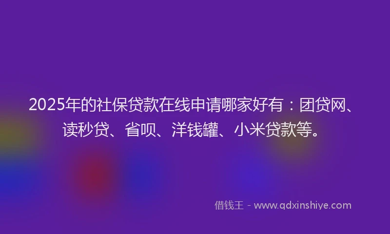 2025年的社保贷款在线申请哪家好有：团贷网、读秒贷、省呗、洋钱罐、小米贷款等。