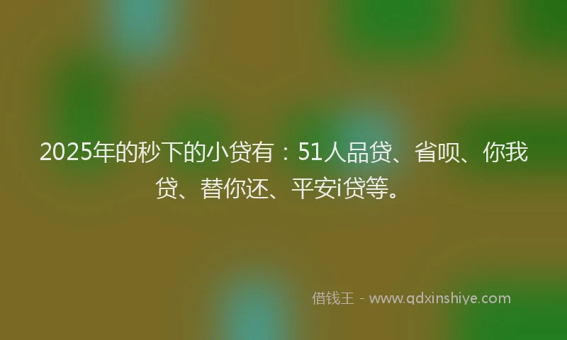 2025年的秒下的小贷有：51人品贷、省呗、你我贷、替你还、平安i贷等。