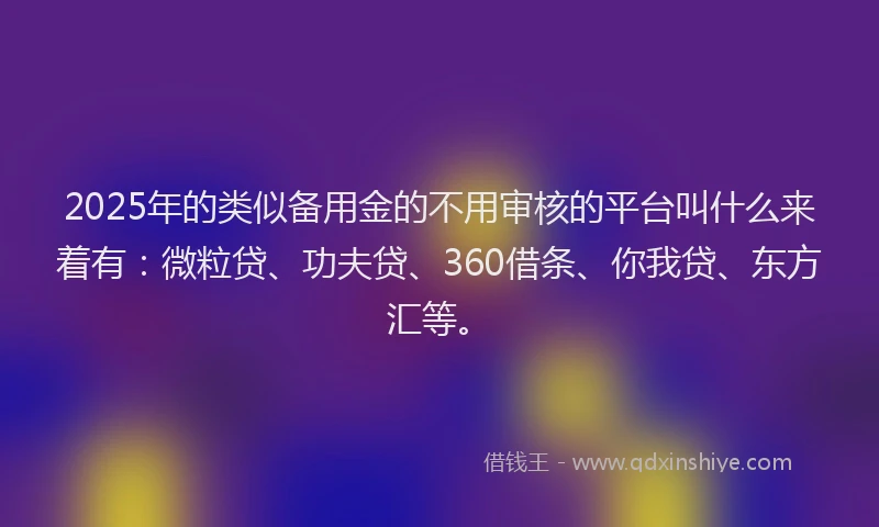 2025年的类似备用金的不用审核的平台叫什么来着有：微粒贷、功夫贷、360借条、你我贷、东方汇等。