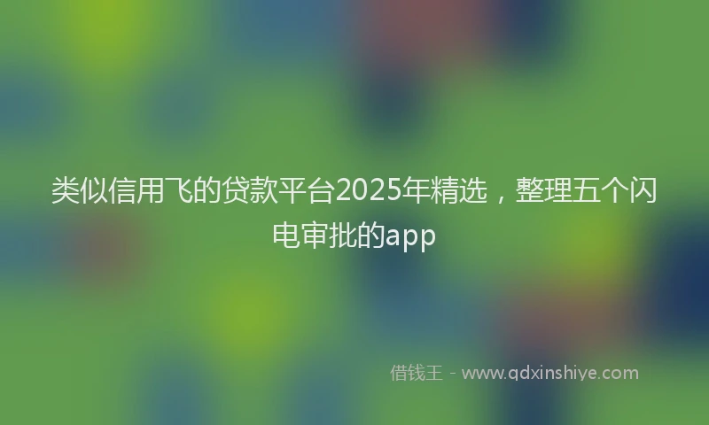 类似信用飞的贷款平台2025年精选，整理五个闪电审批的app