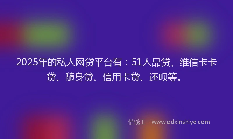 2025年的私人网贷平台有：51人品贷、维信卡卡贷、随身贷、信用卡贷、还呗等。