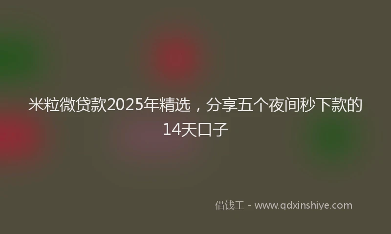 米粒微贷款2025年精选，分享五个夜间秒下款的14天口子