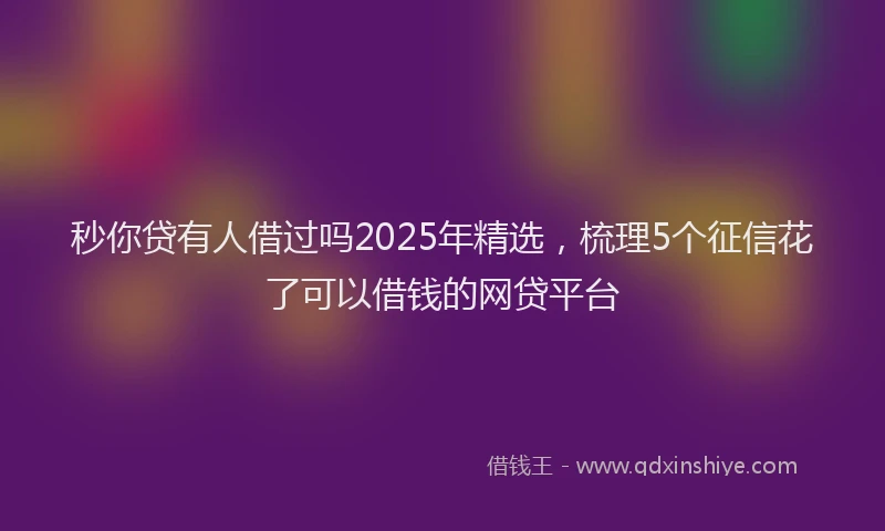 秒你贷有人借过吗2025年精选，梳理5个征信花了可以借钱的网贷平台
