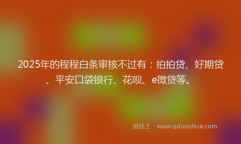 2025年的程程白条审核不过有：拍拍贷、好期贷、平安口袋银行、花呗、e微贷等。