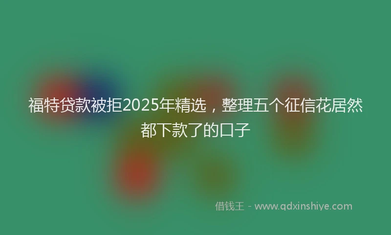 福特贷款被拒2025年精选，整理五个征信花居然都下款了的口子