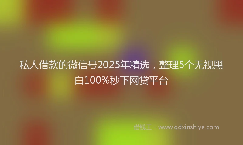私人借款的微信号2025年精选，整理5个无视黑白100%秒下网贷平台