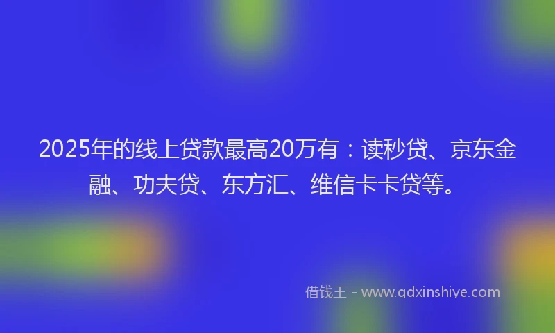 2025年的线上贷款最高20万有：读秒贷、京东金融、功夫贷、东方汇、维信卡卡贷等。