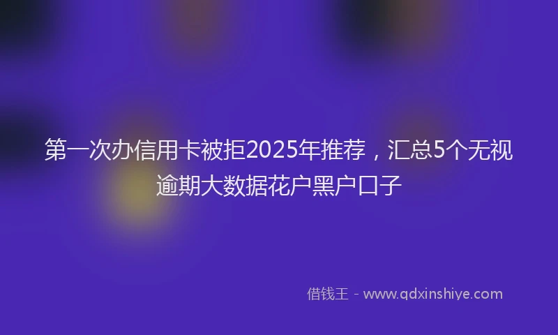 第一次办信用卡被拒2025年推荐，汇总5个无视逾期大数据花户黑户口子
