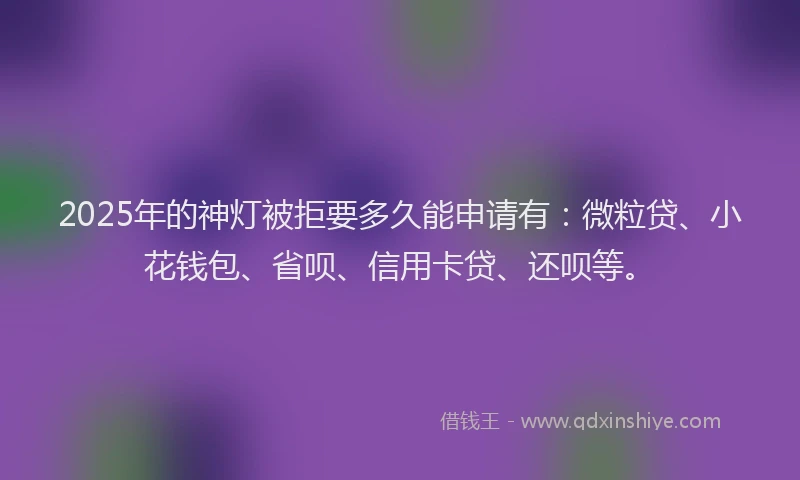 2025年的神灯被拒要多久能申请有：微粒贷、小花钱包、省呗、信用卡贷、还呗等。