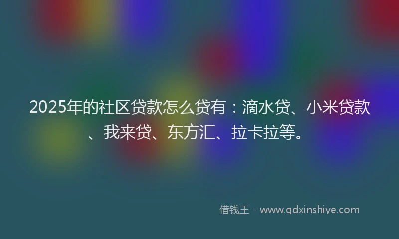 2025年的社区贷款怎么贷有：滴水贷、小米贷款、我来贷、东方汇、拉卡拉等。