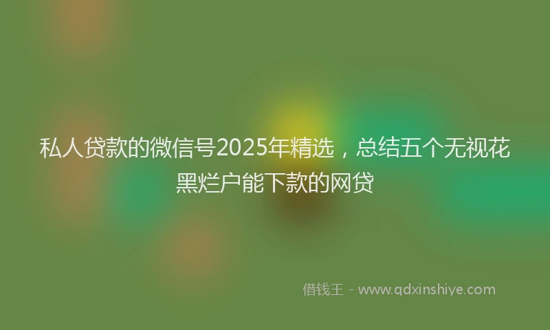 私人贷款的微信号2025年精选，总结五个无视花黑烂户能下款的网贷
