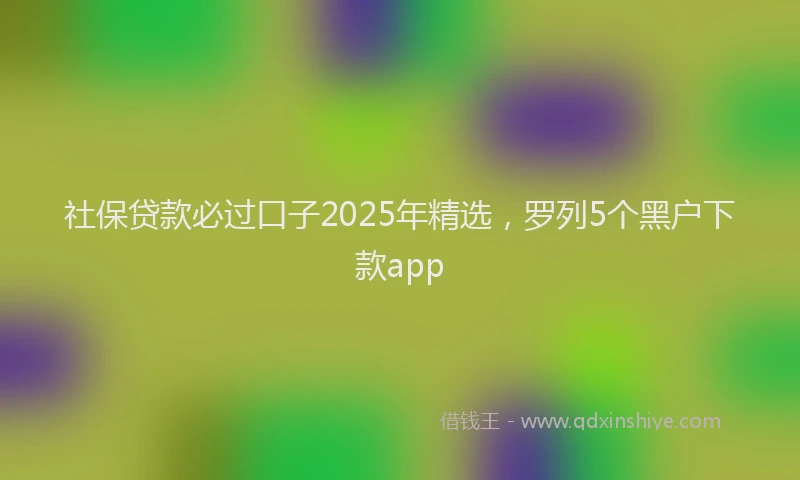 社保贷款必过口子2025年精选，罗列5个黑户下款app