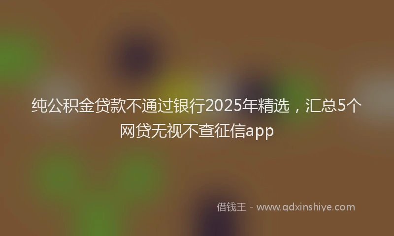 纯公积金贷款不通过银行2025年精选，汇总5个网贷无视不查征信app