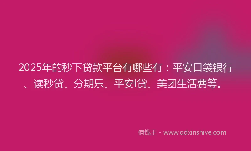 2025年的秒下贷款平台有哪些有：平安口袋银行、读秒贷、分期乐、平安i贷、美团生活费等。