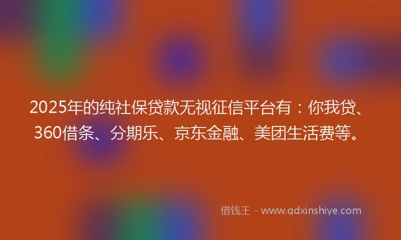 2025年的纯社保贷款无视征信平台有：你我贷、360借条、分期乐、京东金融、美团生活费等。