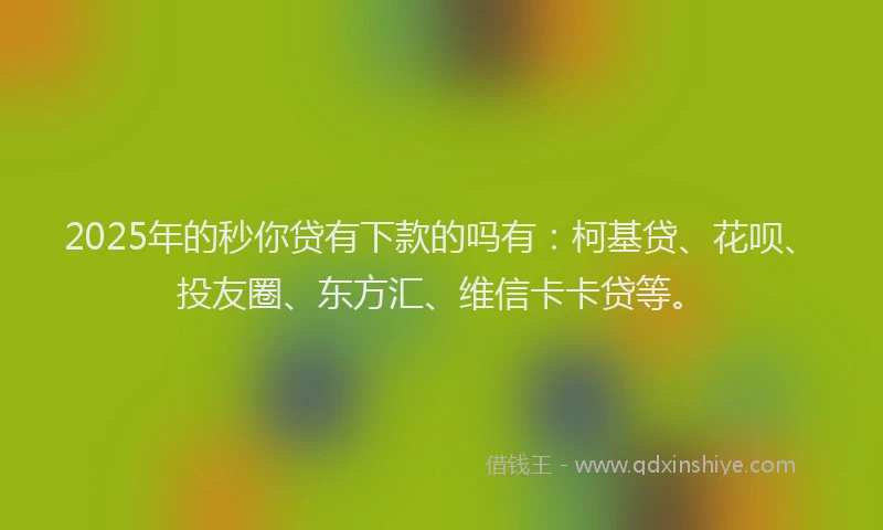 2025年的秒你贷有下款的吗有：柯基贷、花呗、投友圈、东方汇、维信卡卡贷等。